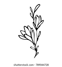 Branch with flowers vector illustration. Doodle style. Design, print, decor, textile, paper