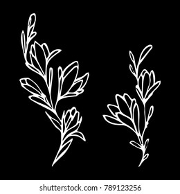 Branch with flowers vector illustration. Doodle style. Design, print, decor, textile, paper