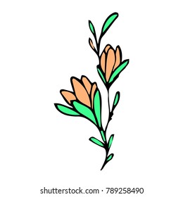 Branch with flowers vector illustration. Doodle style. Design, print, decor, textile, paper