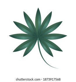 branch foliage ecology plant nature icon isolated vector illustration