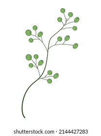 branch foliage icon flat isolated