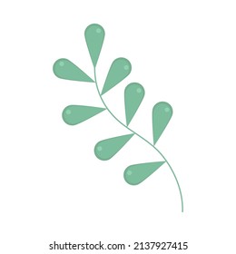 branch foliage icon vector isolated