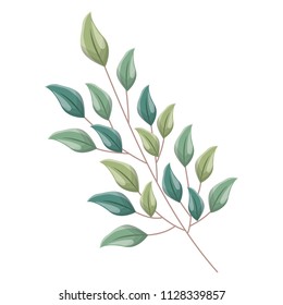 branch foliage leaves natural botanical