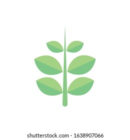 branch foliage leaves natural floral botanical on white background vector illustration