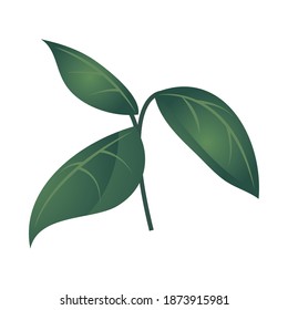 branch foliage plant vegetation icon isolated vector illustration