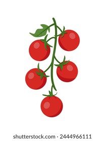 Branch of fresh Cherry tomato. Red farm tomato plant icon. Organic vegetables vegetarian food. Vector illustration isolated on white background.