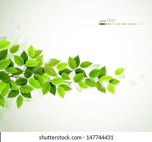 branch with fresh green leaves 