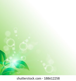 branch with fresh green leaves