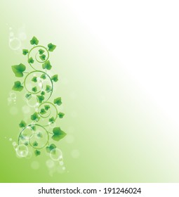branch with fresh green leaves