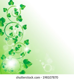 branch with fresh green leaves