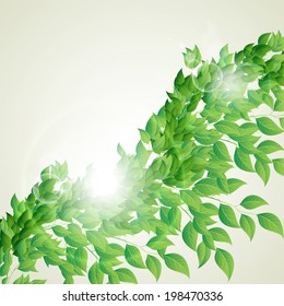 branch with fresh green leaves