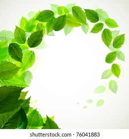 branch with fresh green leaves