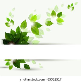 branch with fresh green leaves