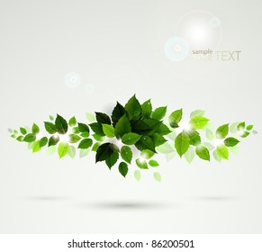 branch with fresh green leaves