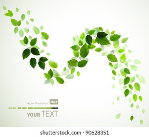 branch with fresh green leaves