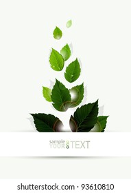 branch  with fresh green leaves