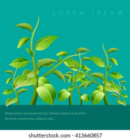 branch with fresh green leaves realistic style, natural background Vector illustration