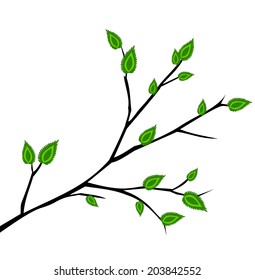 Branch with fresh green leaves vector