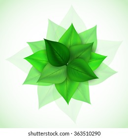 branch with fresh green leaves. Vector Illustration