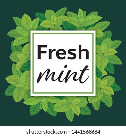 Branch of fresh mint leaves with green background template. Vector set of element for advertising, banner, packaging design of peppermint products.