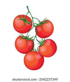 Rama de tomates frescos en estilo de dibujos animados. Ilustración vectorial de tomates rojos con subgrupos verdes aislados sobre fondo blanco. Vegetales vitamínicos útiles. Un tomate redondo. Tomates cherry.