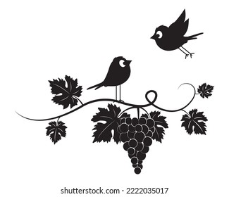 Branch with grape and birds silhouettes illustration isolated on white background, vector. Grape silhouette with leaves. Black and white minimalist art design. Fruit, healthy food