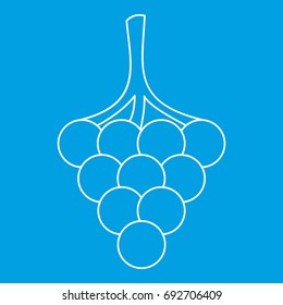 Branch of grape icon blue outline style isolated vector illustration. Thin line sign