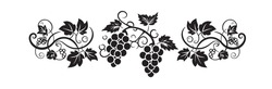 Branch With Grape Silhouette Illustration Isolated On White Background, Vector. Grape Silhouette With Leaves. Black And White Minimalist Art Design. Fruit, Healthy Food