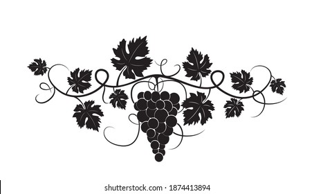 Branch with grape silhouette illustration isolated on white background, vector. Grape silhouette with leaves. Black and white minimalist art design. Fruit, healthy food