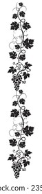 Branch with grape silhouette illustration isolated on white background, vector. Grape silhouette with leaves. Black and white minimalist art design. Fruit, healthy food