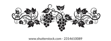 Branch with grape silhouette illustration isolated on white background, vector. Grape silhouette with leaves. Black and white minimalist art design. Fruit, healthy food