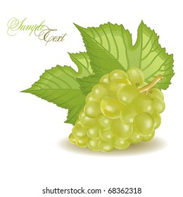 branch of grapes