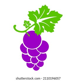 Branch of grapes on a white background.Design template icon,badge, pictogram,symbol. Vector illustration