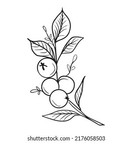 branch graphic design vector illustration, art tattoo sketch, hand draw, print use
