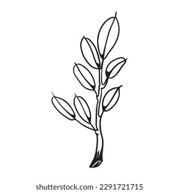 branch graphic design vector illustration,art tattoo sketch,hand draw,print use