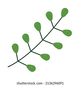 branch with green berries icon