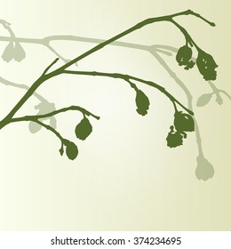 Branch green buds ecology environmental spring vintage background vector illustration new start concept