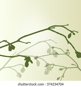 Branch green buds ecology environmental spring vintage background vector illustration new start concept