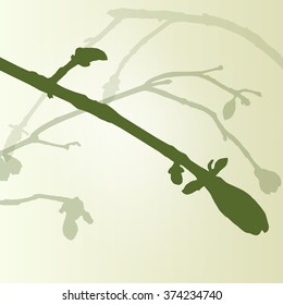 Branch green buds ecology environmental spring vintage background vector illustration new start concept