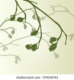 Branch green buds ecology environmental spring vintage background vector illustration new start concept