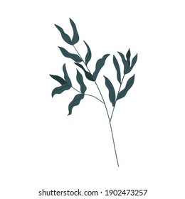 Branch of green eucalyptus isolated on white background. Greenery for decoration. Elegant floral element. Monochrome flat vector illustration