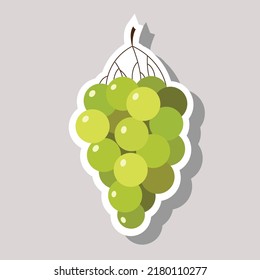 A branch  of green grape sticker isolated with white contour