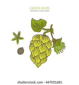 Branch of green hops with cones, flower and seed in a woodcut style. Vector illustration.
