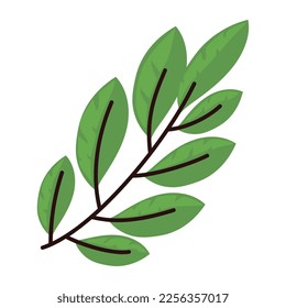 branch with green leafs foliage