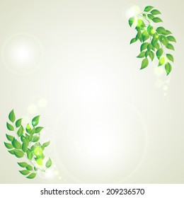 Branch with green leaves