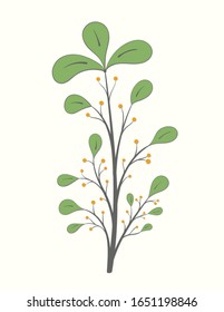 Branch with green leaves and berries on a light background