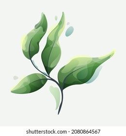 Branch with green leaves in clear vector watercolor style. Design element for luxury emblem, botanical identity, ecology projects, wedding invitations.