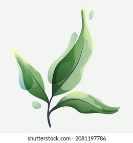 Branch with green leaves in clear vector watercolor style. Design element for luxury emblem, botanical identity, ecology projects, wedding invitations.