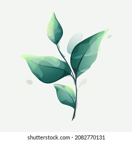 Zweig mit grünen Blättern in klarer Vektorwasserfarbe. Design-Element für Luxus-Emblem, botanische Identität, Ökologie-Projekte, Hochzeitseinladungen.