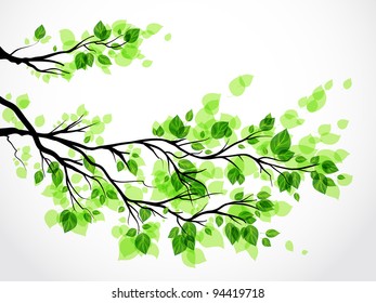 Branch with green leaves eps 10